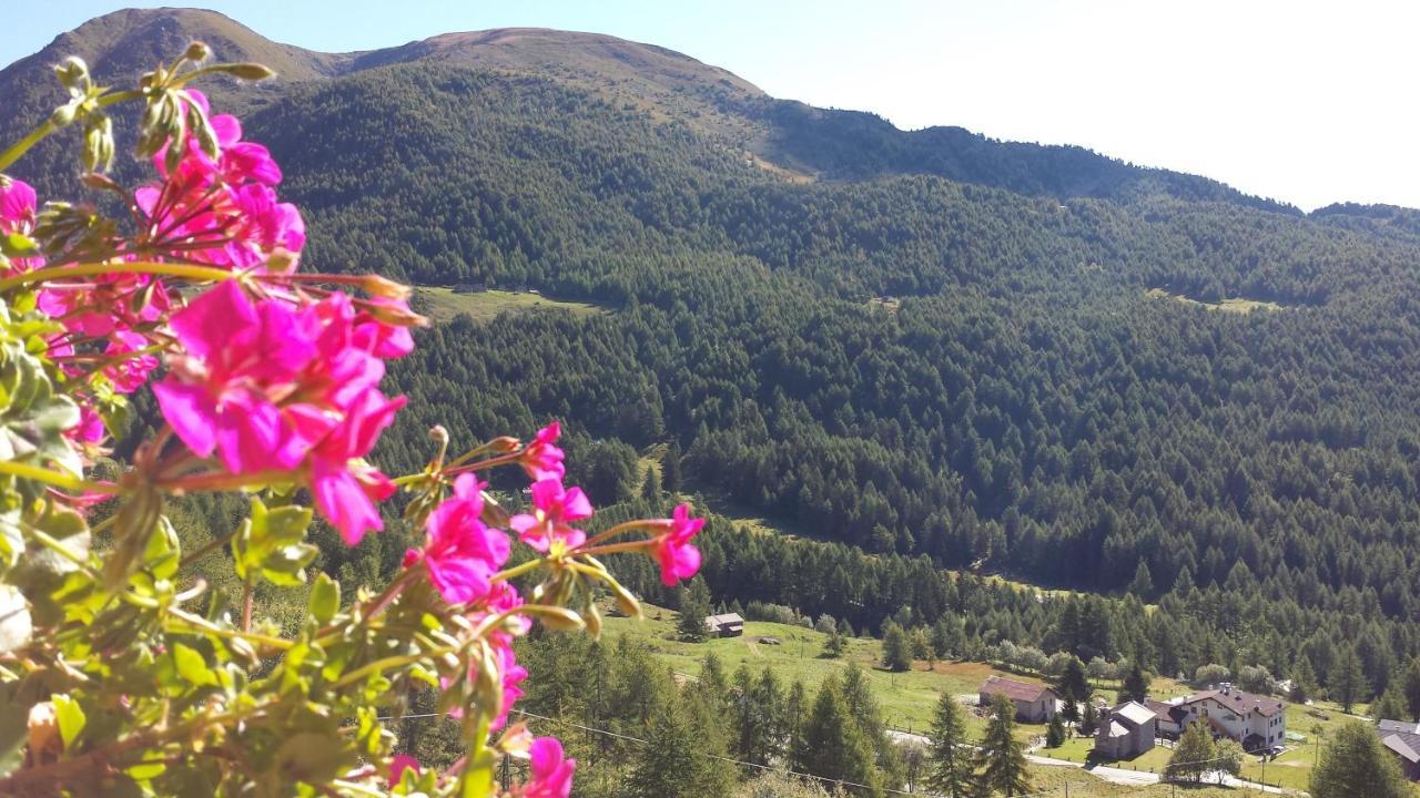 Hotel Belvedere Mountain Experience Monno Exterior foto