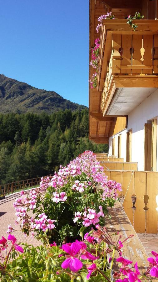 Belvedere Mountain Experience Monno Exterior foto